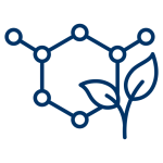 Holistic Wellness Philosophy